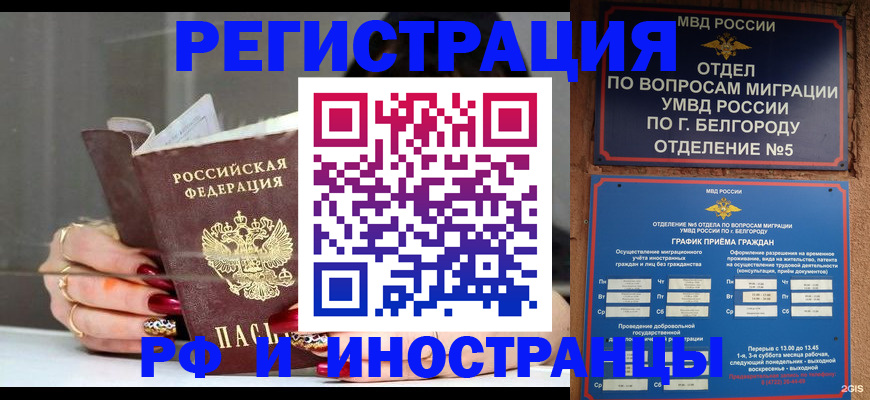 прописка в Ржеве